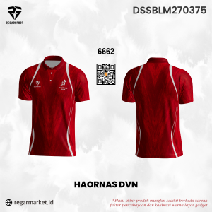 Jersey Haornas Custom Desain DSSBLM270375